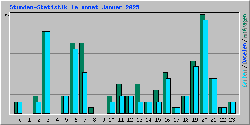 Stunden-Statistik im Monat Januar 2025