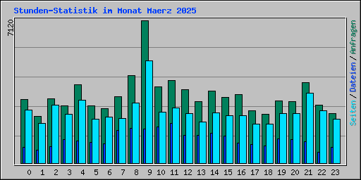 Stunden-Statistik im Monat Maerz 2025