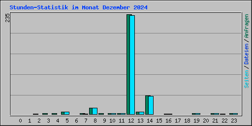 Stunden-Statistik im Monat Dezember 2024