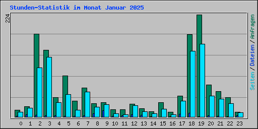 Stunden-Statistik im Monat Januar 2025