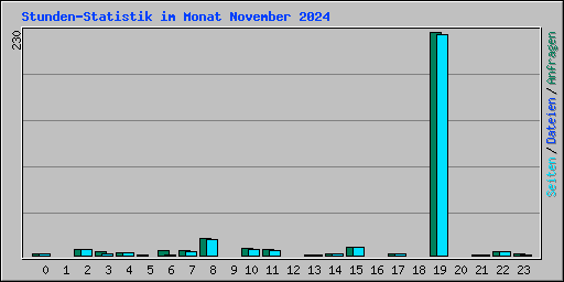 Stunden-Statistik im Monat November 2024