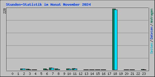 Stunden-Statistik im Monat November 2024