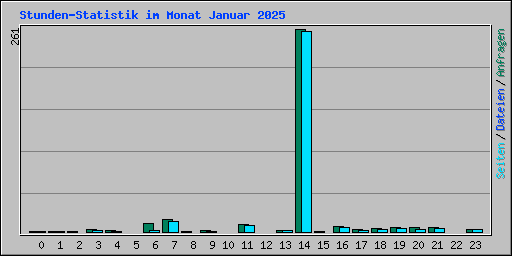 Stunden-Statistik im Monat Januar 2025