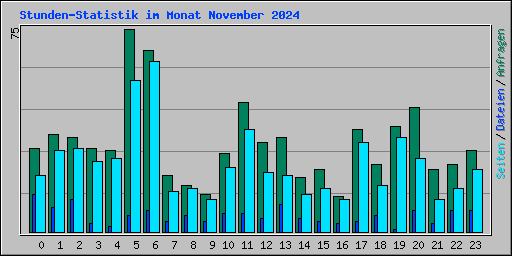 Stunden-Statistik im Monat November 2024