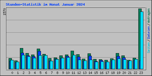 Stunden-Statistik im Monat Januar 2024