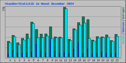 Stunden-Statistik im Monat Dezember 2024