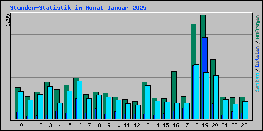 Stunden-Statistik im Monat Januar 2025