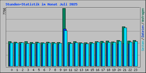 Stunden-Statistik im Monat Juli 2025